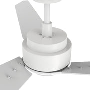 Carro Calen 48in 3-Blade Smart Ceiling Fan | Modern White Plywood Blades | Living Room & Covered Patio | 48 x 48 x 13.2 in, Damp | Model SFR483J3-L11-W1-1