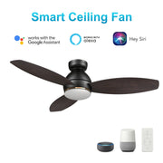 Carro Hobart 48in 3-Blade Smart Ceiling Fan | Black Barnwood Plywood Blades and Black Finish | Living Room & Covered Patio | Model SFR483Q6-L12-BG-1-FM