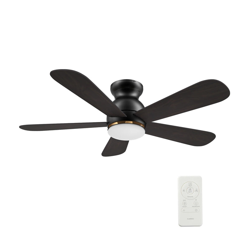 Carro Dubois 48in 5-Blade Smart Ceiling Fan with LED Light | Black Barnwood Plywood Blades | Living Room & Covered Patio | 48 | Model SFR485Q-L12-BG-1-FM