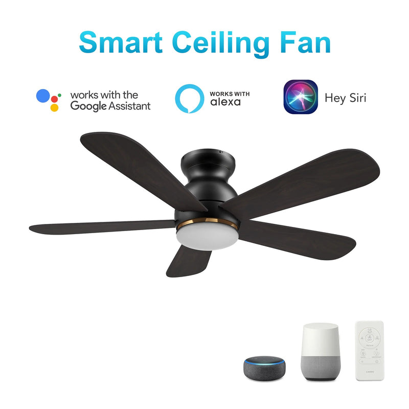 Carro Dubois 48in 5-Blade Smart Ceiling Fan with LED Light | Black Barnwood Plywood Blades | Living Room & Covered Patio | 48 | Model SFR485Q-L12-BG-1-FM