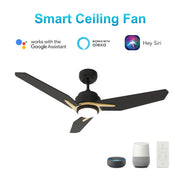 Carro Calen 52in 3-Blade Smart Ceiling Fan | Black Gold and Plywood | Living Room & Covered Patio | 52 x 52 x 13.2 in | Model SFR523J3-L11-B2-1G