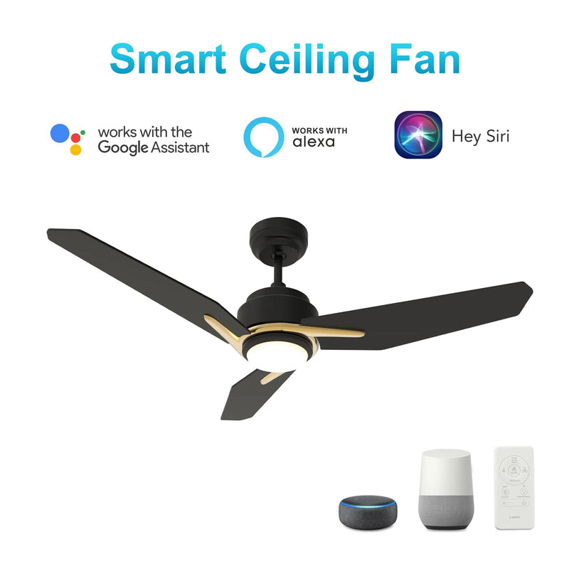 Carro Calen 52in 3-Blade Smart Ceiling Fan | Black Gold and Plywood | Living Room & Covered Patio | 52 x 52 x 13.2 in | Model SFR523J3-L11-B2-1G