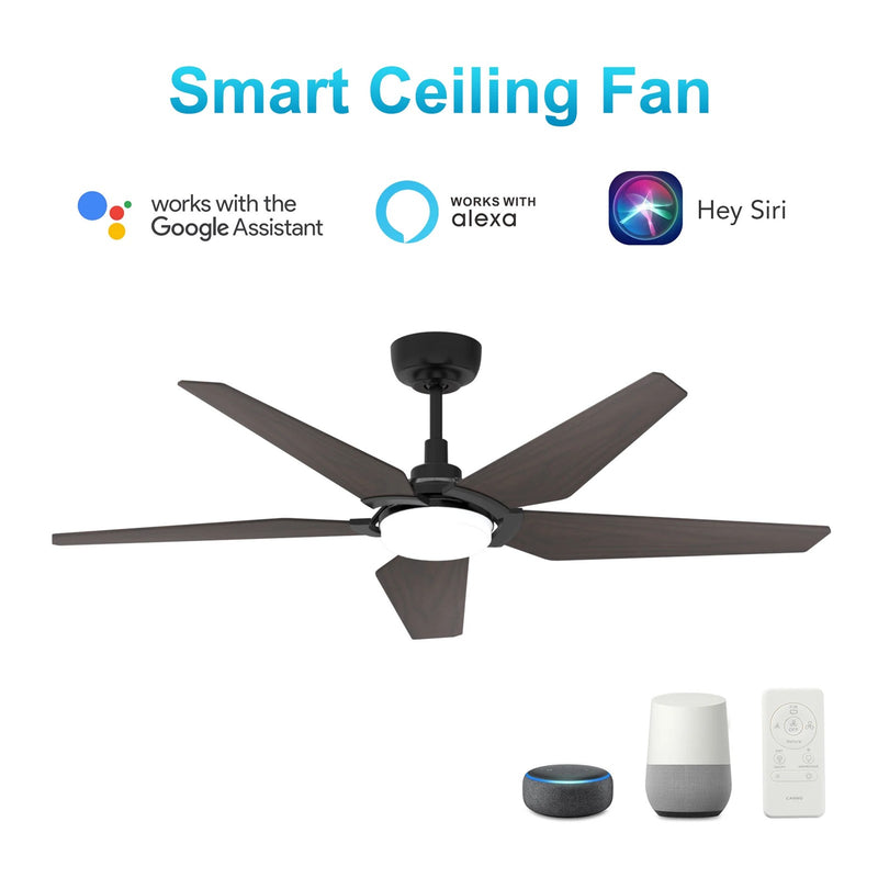 Carro Kaj 52in 5-Blade Smart Ceiling Fan | Black Plywood Blades and Glass Shade | Living Room & Covered Patio | 52 x 52 x 13.7 in | Model SFR525B-L22-B2-1