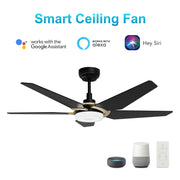 Carro Kaj 52in 5-Blade Smart Ceiling Fan | Black Gold Plywood Blades and Glass Shade | Living Room & Covered Patio | 52 x 52 x | Model SFR525B-L22-B2-1G