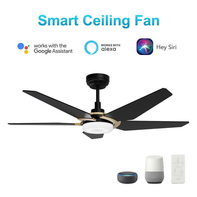 Carro Kaj 52in 5-Blade Smart Ceiling Fan | Black Gold Plywood Blades and Glass Shade | Living Room & Covered Patio | 52 x 52 x | Model SFR525B-L22-B2-1G