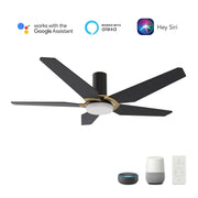 Carro Kaj 52in 5-Blade Flush Mount Smart Ceiling Fan | Black Gold Plywood Blades and Glass Shade | Living Room & Covered | Model SFR525B-L22-B2-1G-FM