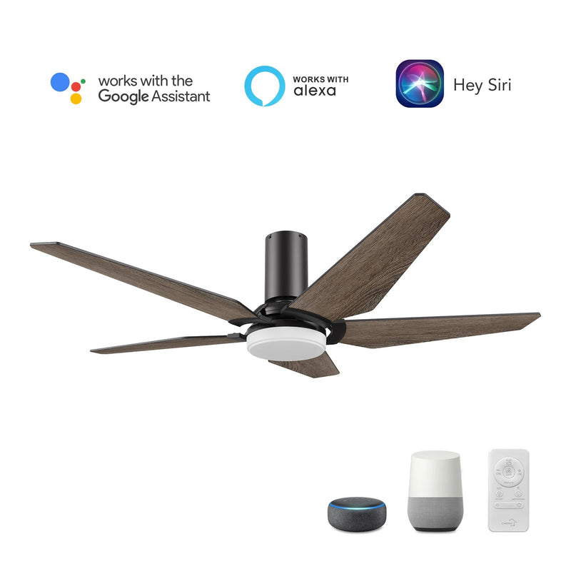 Carro Kaj 52in 5-Blade Flush Ceiling Fan | Modern Black Barnwood Plywood and Glass | Living Room & Covered Patio | 52 x 52 x | Model SFR525B-L22-BS-1-FM