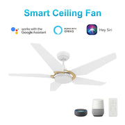 Carro Kaj 52in 5-Blade Smart Ceiling Fan | Modern White Gold Plywood and Glass | Living Room & Covered Patio | 52 x 52 x 13.7 | Model SFR525B-L22-W1-1G