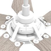 Carro Kaj 52in 5-Blade Smart Ceiling Fan | White Chestnut Plywood and Integrated LED | Living Room & Covered Patio | 52 x 52 x | Model SFR525B-L22-W6-1