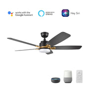 Carro Peyton 52in 5-Blade Smart Ceiling Fan | Modern Black Gold and Plywood Blades | Living Room & Covered Patio | 52 x 52 x | Model SFR525B4-L12-B2-1G