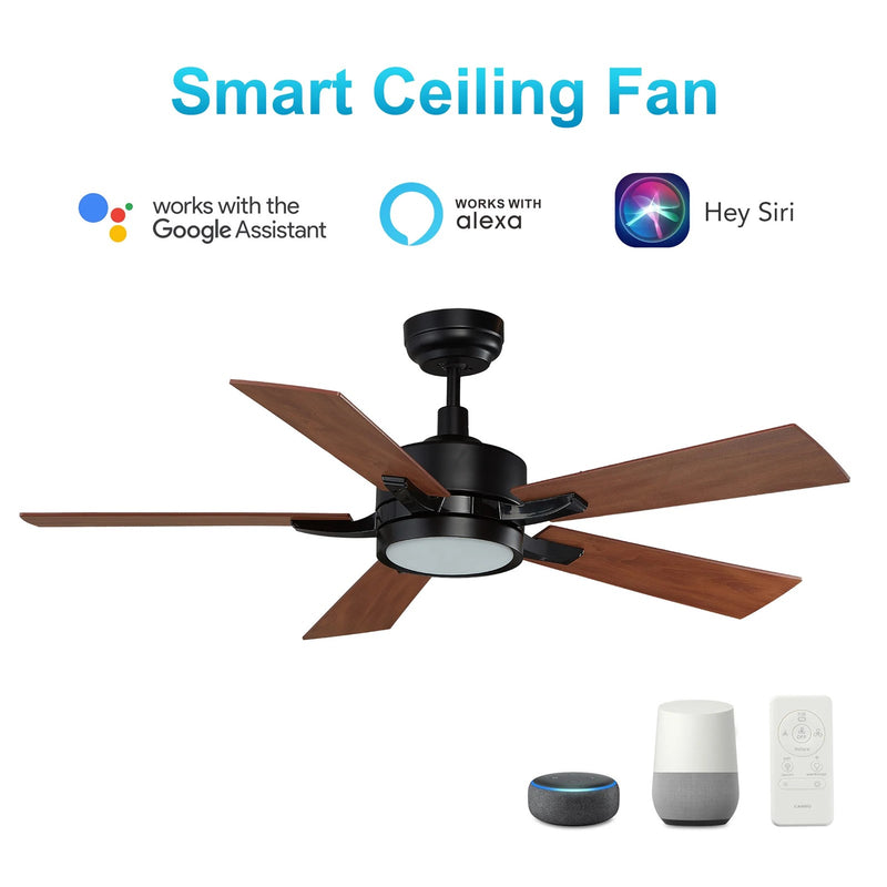 Carro Appleton 52in 5-Blade Smart Ceiling Fan | Modern Black Cherry and Plywood | Living Room & Covered Patio | 52 x 52 x 15 in | Model SFR525E-L12-B3-1