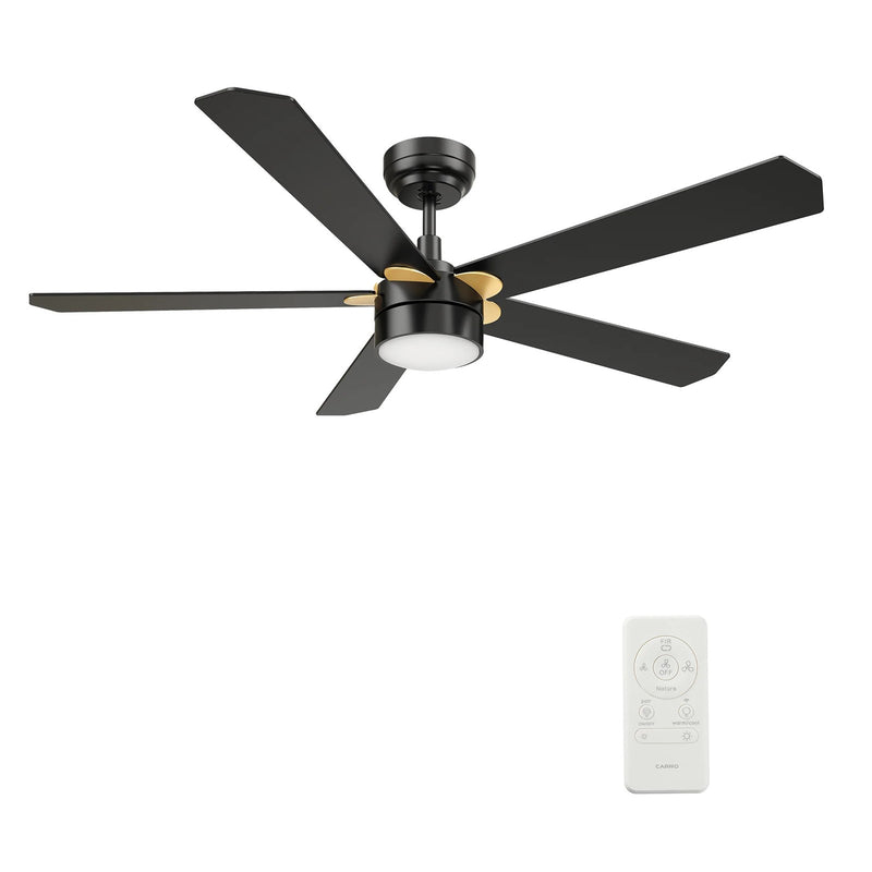 Carro Tarrasa 52in 5-Blade Flush Smart Ceiling Fan | Black Plywood and Integrated LED | Living Room & Covered Patio | 52 x 52 x | Model SFR525E2-L11-B2-1G