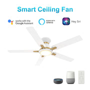 Carro Espear 52in Flush Ceiling Fan | Modern White and Gold Plywood Blades | Living Room & Covered Patio | 52 x 52 x 11 in | Model SFR525J-L12-W1-1G-FMA