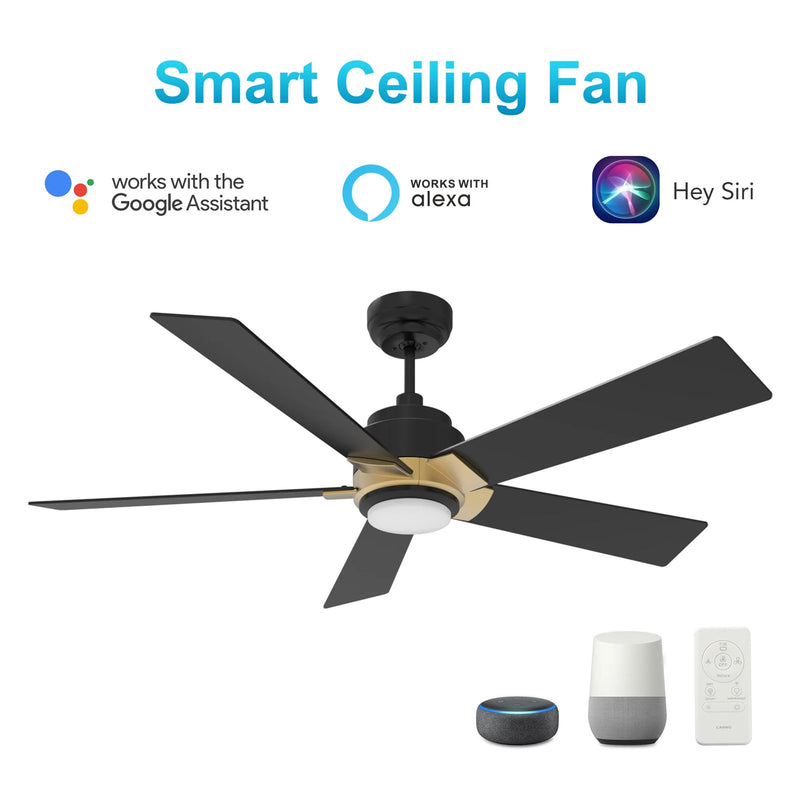 Carro Ascender 52in 5-Blade Smart Ceiling Fan | Modern Black Gold and Plywood | Living Room & Covered Patio | 52 x 52 x 14.7 in | Model SFR525J1-L11-B2-1G