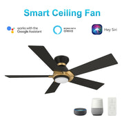 Carro Ascender 52in 5-Blade Flush Mount Smart Ceiling Fan | Modern Black/Gold and Plywood | Living Room & Covered Patio | Model SFR525J1-L11-B2-1G-FMA
