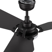 Carro Kaj 56in Smart Ceiling Fan | Modern Black Walnut and Plywood Blades | Living Room & Covered Patio | 56 x 56 x 13.4 in | Model SFR563B-L12-B5-1