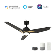 Carro Calen 56in Smart Ceiling Fan | Black Gold Plywood Blades | Living Room & Covered Patio | 56 x 56 x 13.2 in, 4000K LED, DC | Model SFR563J3-L11-B2-1G