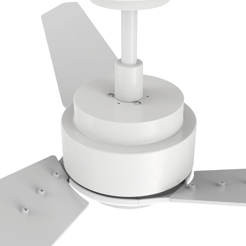 Carro Calen 56in Smart Ceiling Fan | White Plywood Blades | Living Room & Covered Patio | 56 x 56 x 13.2 in, 4000K LED, DC Motor | Model SFR563J3-L11-W1-1