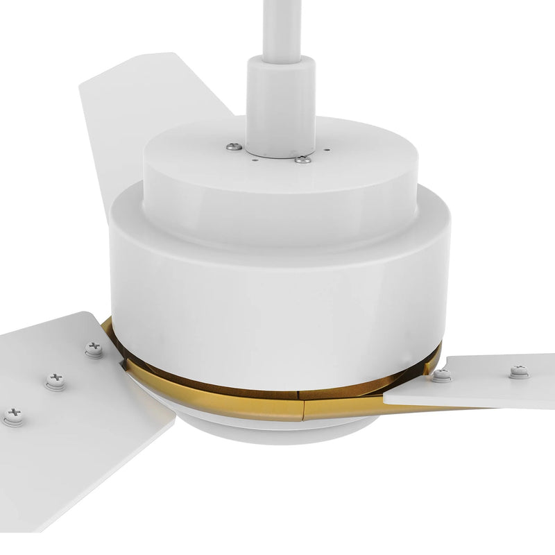 Carro Calen 56in Smart Ceiling Fan | White Gold Plywood Blades | Living Room & Covered Patio | 56 x 56 x 13.2 in, 4000K LED, DC | Model SFR563J3-L11-W1-1G