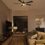 Carro Appleton 56in 5-Blade Smart Ceiling Fan | Black Gold Plywood Blades and Black Finish | Living Room & Covered Patio | 56 x | Model SFR565E-L12-B2-1G