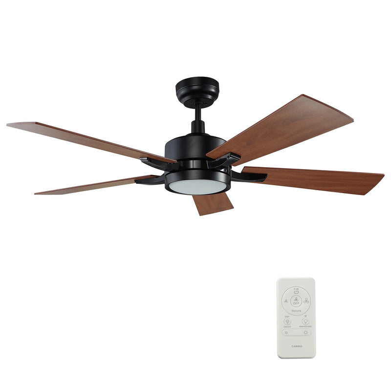 Carro Appleton 56in 5-Blade Smart Ceiling Fan | Black Cherry Plywood Blades and Black Finish | Living Room & Covered Patio | 56 x | Model SFR565E-L12-B3-1