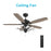 Carro Huntley 52" Ceiling Fan with Remote/Light Kit, Black/Walnut