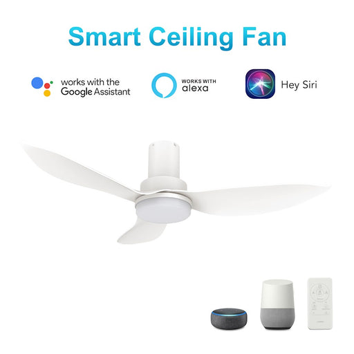 Carro Ryna 36" Ceiling Fan/Remote/Light Kit, White/White