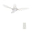 Carro Ryna 36" Ceiling Fan/Remote/Light Kit, White/White