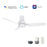 Carro Porter 44" Ceiling Fan/Remote/Light Kit