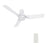 Carro Porter 44" Ceiling Fan/Remote/Light Kit