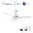 Carro Roque 44" Ceiling Fan/Remote/Light Kit, White/White