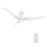 Carro Tracer 48" Ceiling Fan/Remote/Light Kit