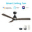 Carro Riley 48" Ceiling Fan/Remote/Light Kit, Black/Brown
