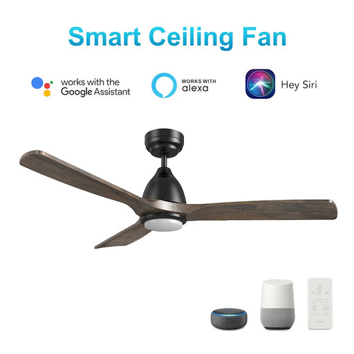 Carro Riley 48" Ceiling Fan/Remote/Light Kit, Black/Brown