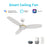 Carro Fremont 48" Ceiling Fan/Remote/Light Kit/Downrod, White