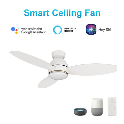 Carro Hobart 48" Ceiling Fan/Remote/Light Kit