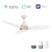 Carro Hobart 48" Ceiling Fan/Remote/Light Kit/Downrod, White