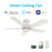 Carro Dubois 48" Ceiling Fan/Remote/Light Kit
