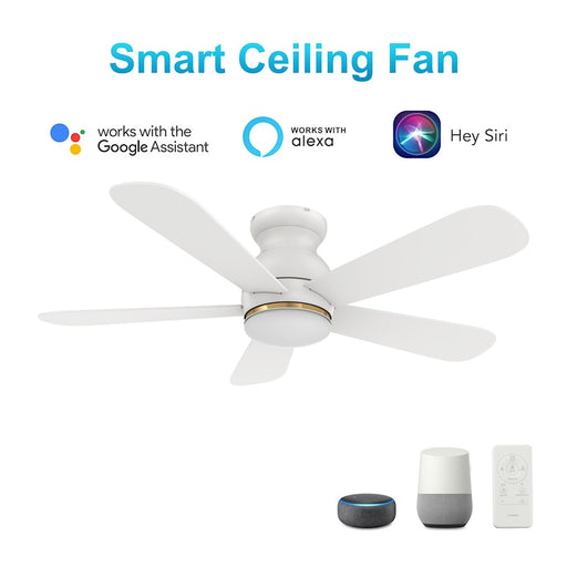 Carro Dubois 48" Ceiling Fan/Remote/Light Kit