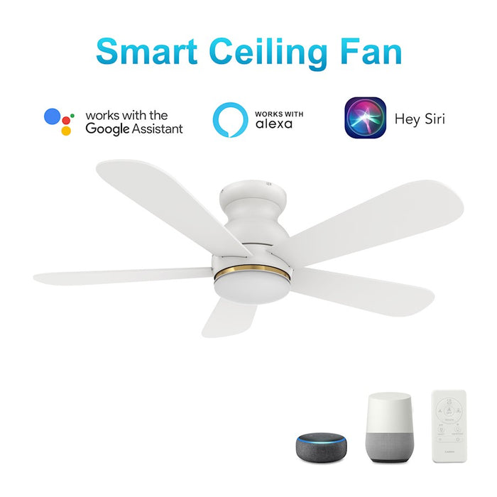 Carro Dubois 48" Ceiling Fan/Remote/Light Kit