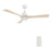 Carro Perry 52" Ceiling Fan/Remote/Light Kit