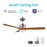 Carro Palmer 52" Ceiling Fan/Remote/Light Kit, Silver/Walnut