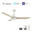 Carro Garrick 52" Ceiling Fan/Remote/Light Kit