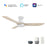Carro Jaaron 52" Ceiling Fan/Remote/Light Kit