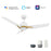Carro Tracer 52" Ceiling Fan/Remote/Light Kit