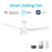Carro Atticus 52" Ceiling Fan/Remote/Light Kit