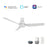 Carro Madrid 52" Ceiling Fan/Remote/Light Kit