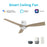Carro Spezia 52" Ceiling Fan/Remote/Light Kit, White/Wood