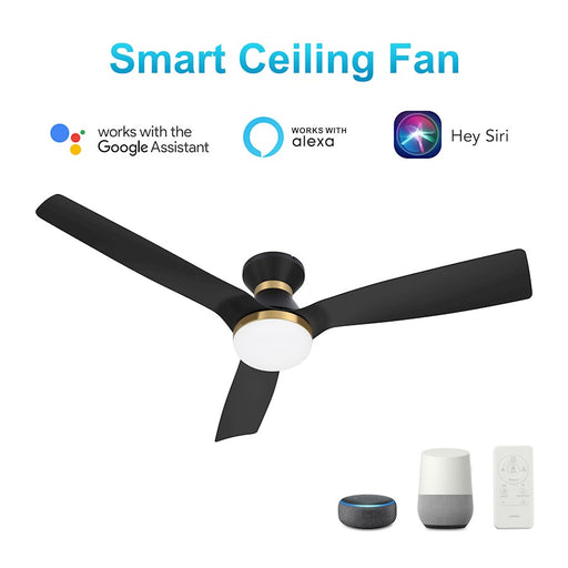 Carro Spezia 52" Ceiling Fan/Remote/Light Kit, Black/Black