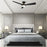 Carro Spezia 52" Ceiling Fan/Remote/Light Kit, Black/Black